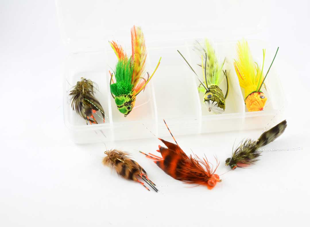 Whitlock's Signature Bass Assortment (7 Pack) – rainysflies