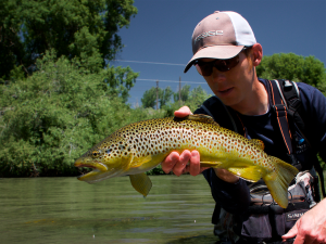 The 80/20 of Fly Fishing by Gilbert Rowley