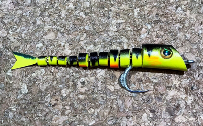 Fly of the Month - July 2019