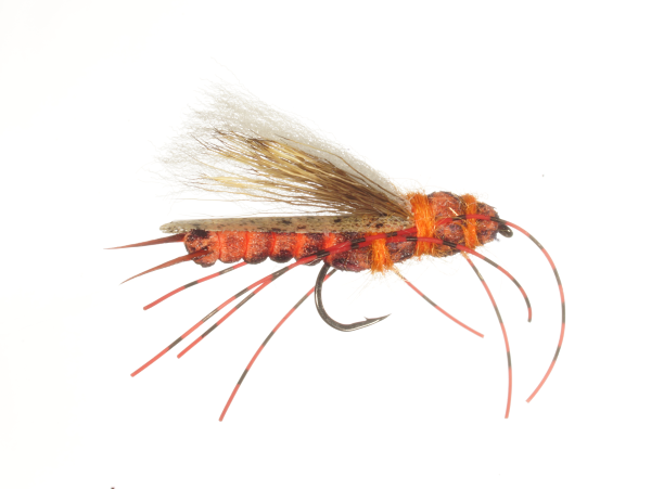 Fly of the Month - June 2017