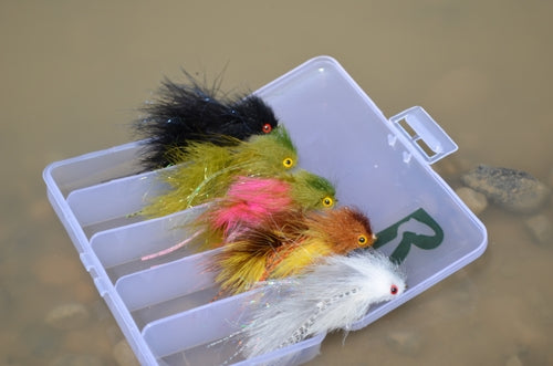 Fly of the Month - May 2019
