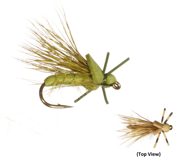 Fly of the Month - August 2018