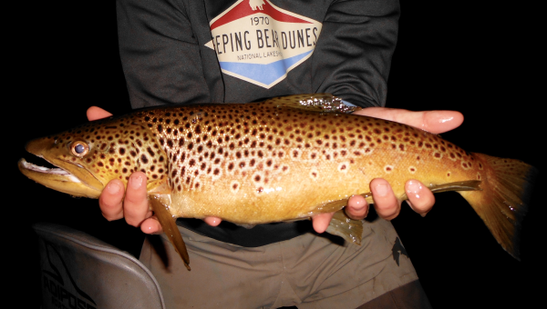 Fishing In The Dark Brian Kozminski
