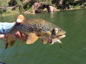 ‘Killing it’ with the Sweeney Todd Sculpin