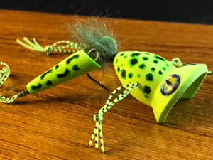 The Creation of FrankenFrog by Paul J. Beel