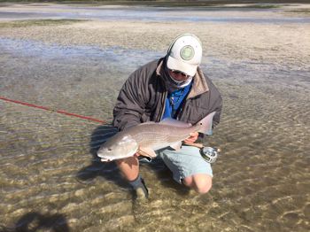 Winter Time Redfish on the Florida Gulf Coast by Greg Peterson