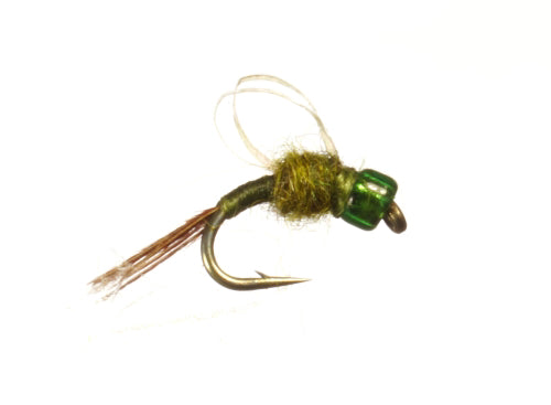 Fly of the Month - April 2017