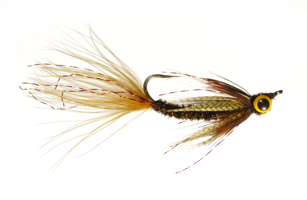 Fly of the Month - May 2017
