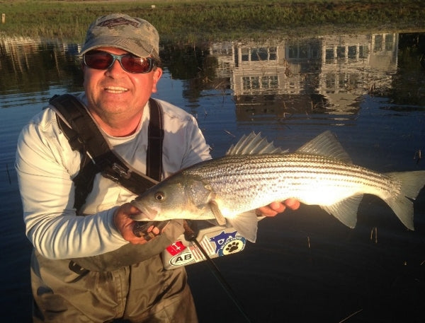 Estuaries: Where Fresh Water Meets the Sea Joe Cordeiro