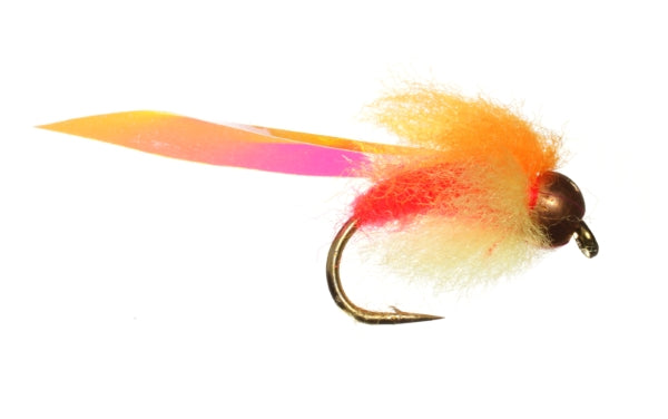 Fly of the Month - November 2017