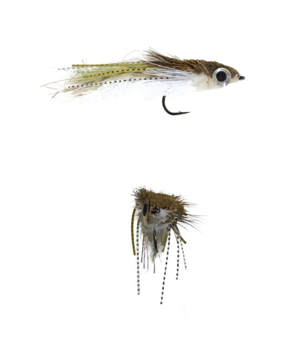 Fly of the Month - October 2018