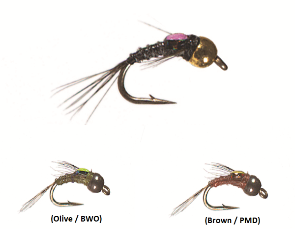Fly of the Month - November 2018
