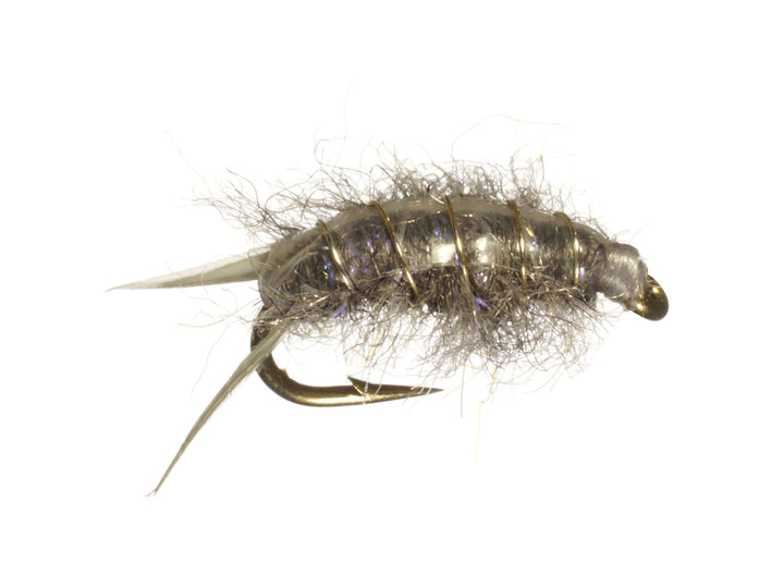 Sowbug