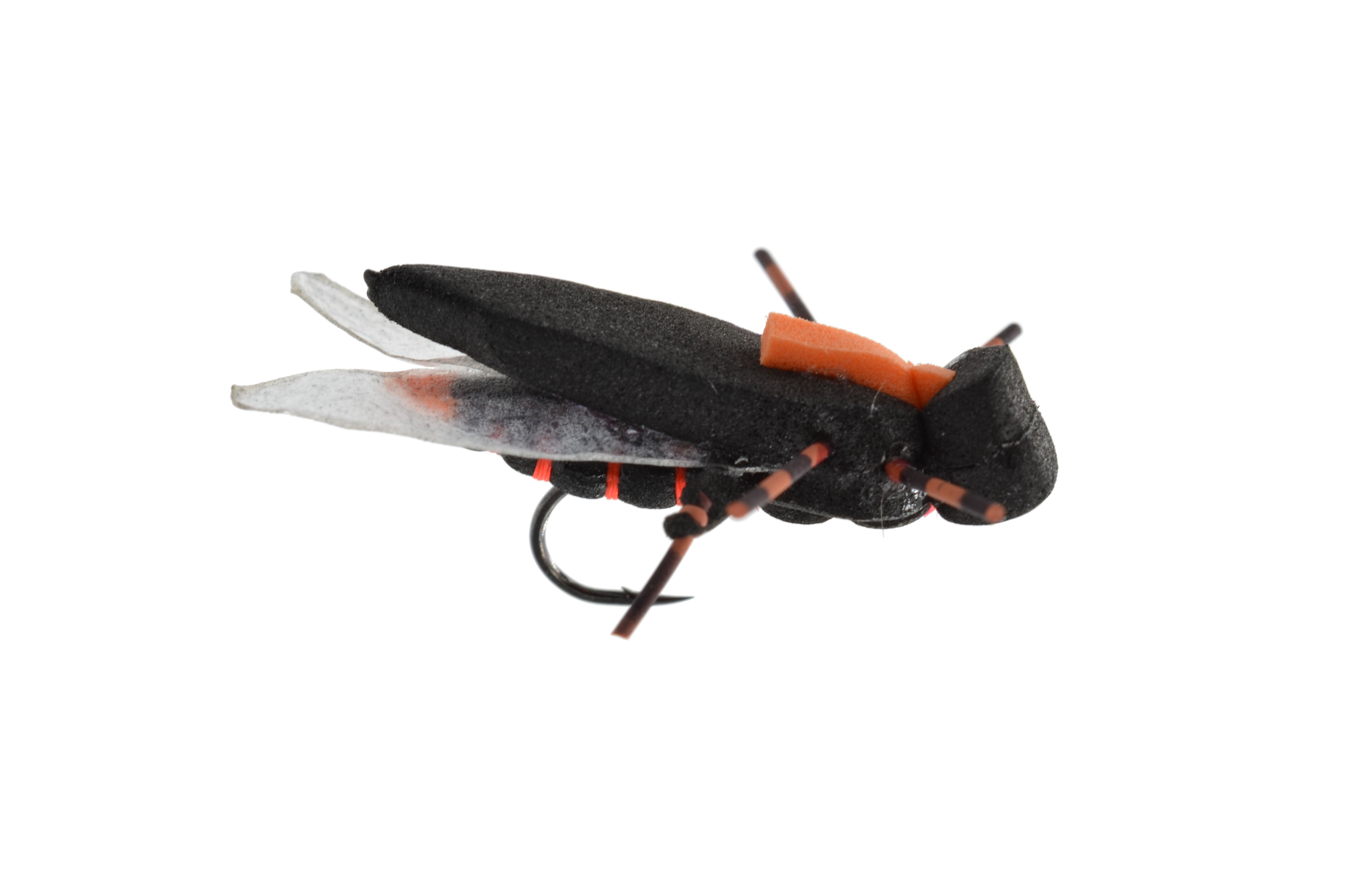 Vincent's Counterfeit Cicada