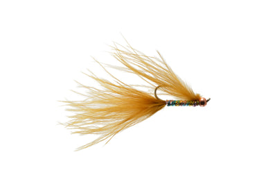 Gaviglio's CJ Rufus Leech