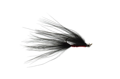 Gaviglio's CJ Rufus Leech