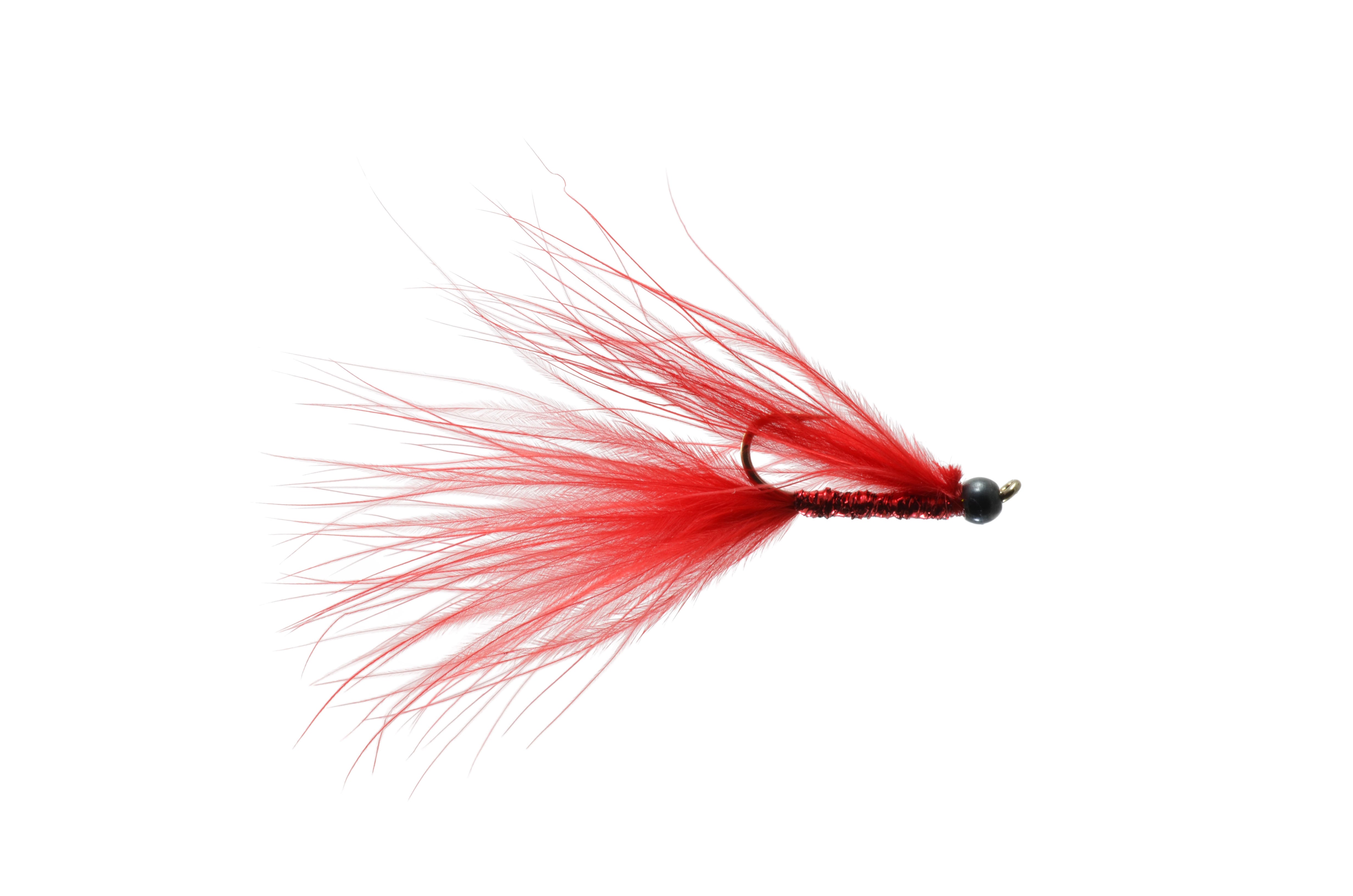 Gaviglio's CJ Rufus Leech