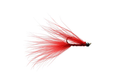 Gaviglio's CJ Rufus Leech