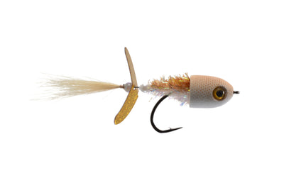 Bucky's Proper Minnow