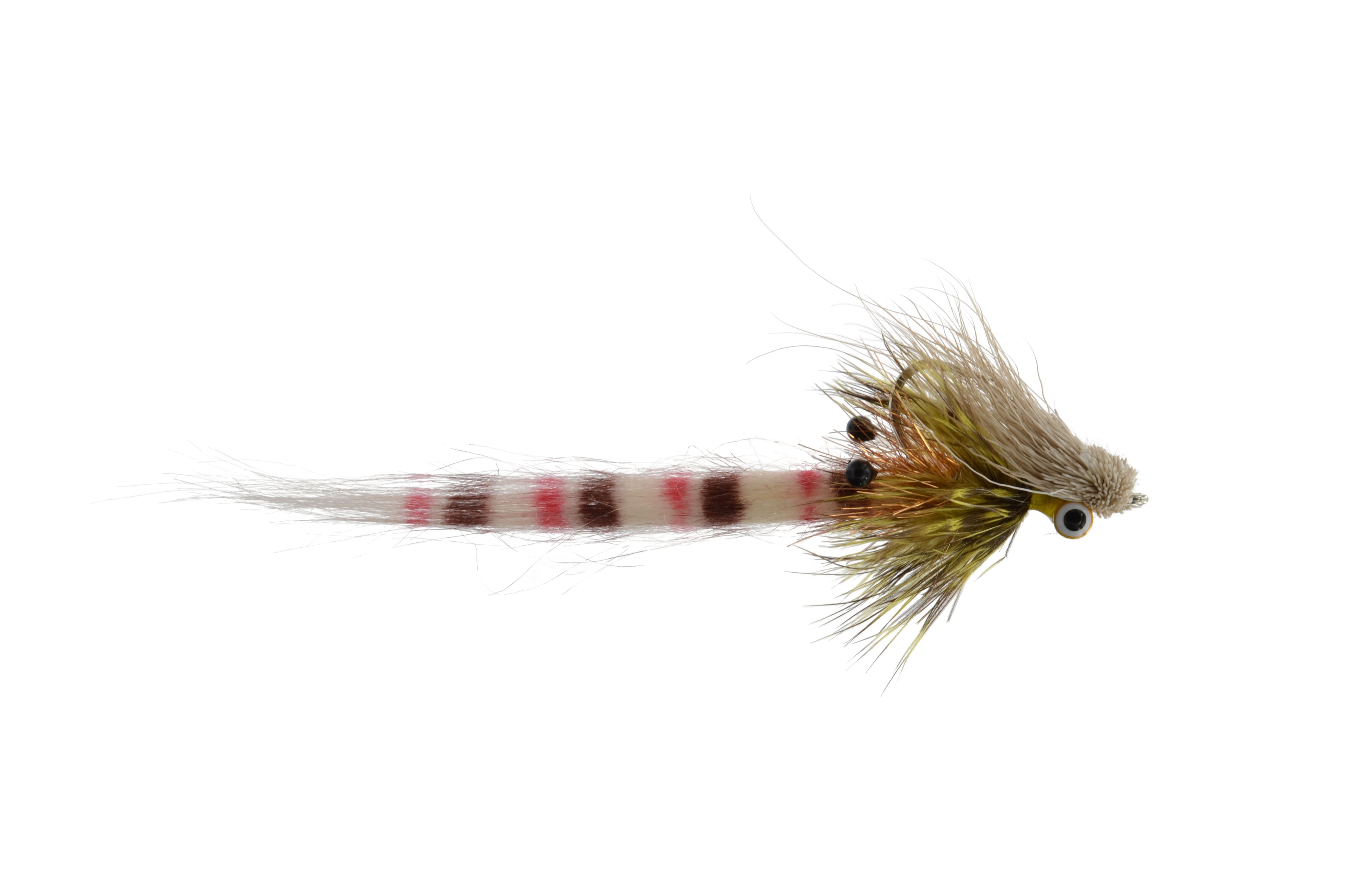 Colby's Coral Slider