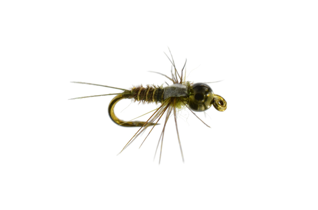 Skip&