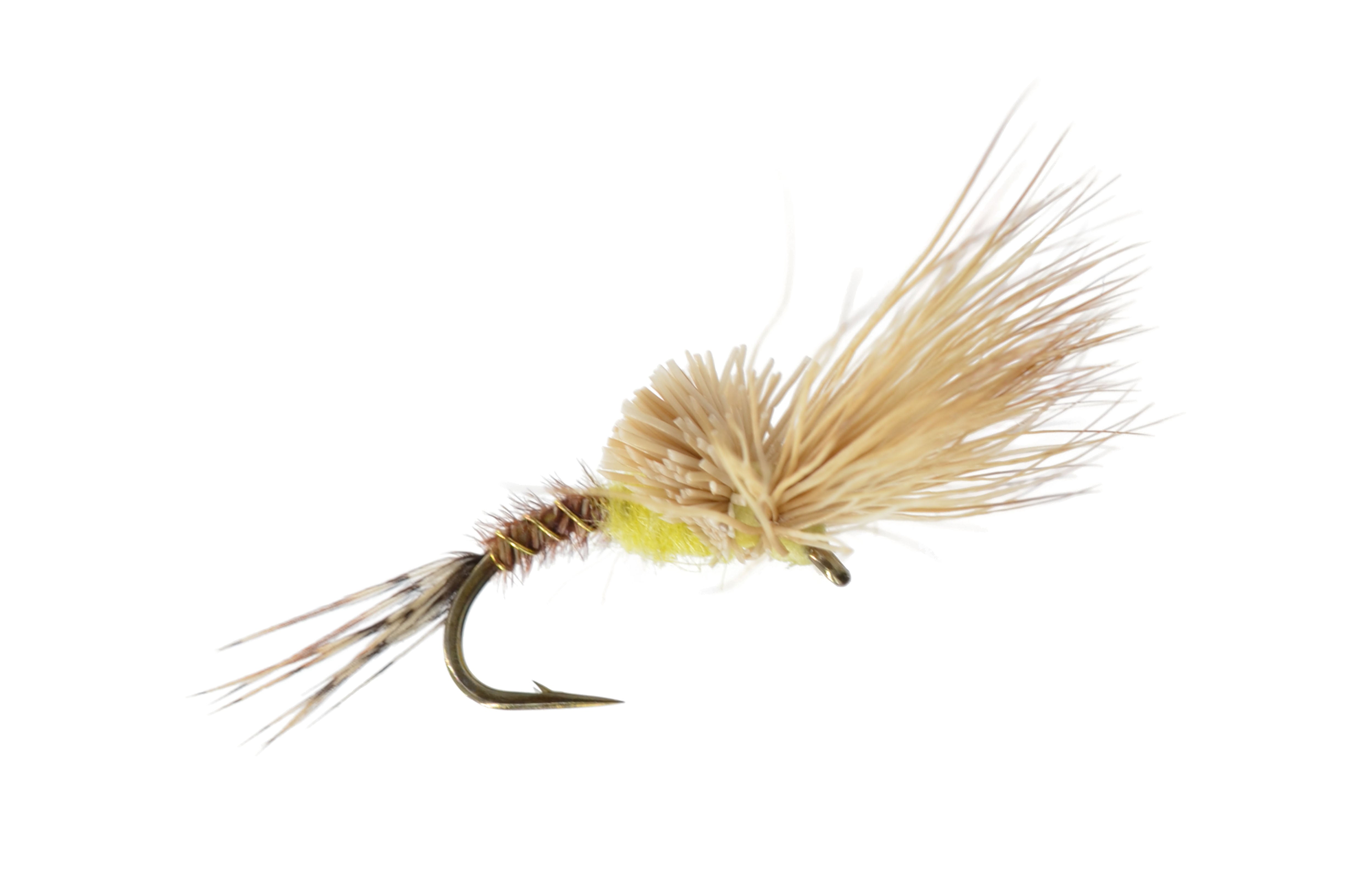 Morris May Emerger