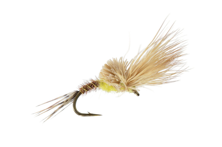 Morris May Emerger