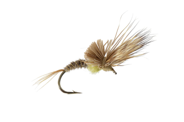 Morris May Emerger