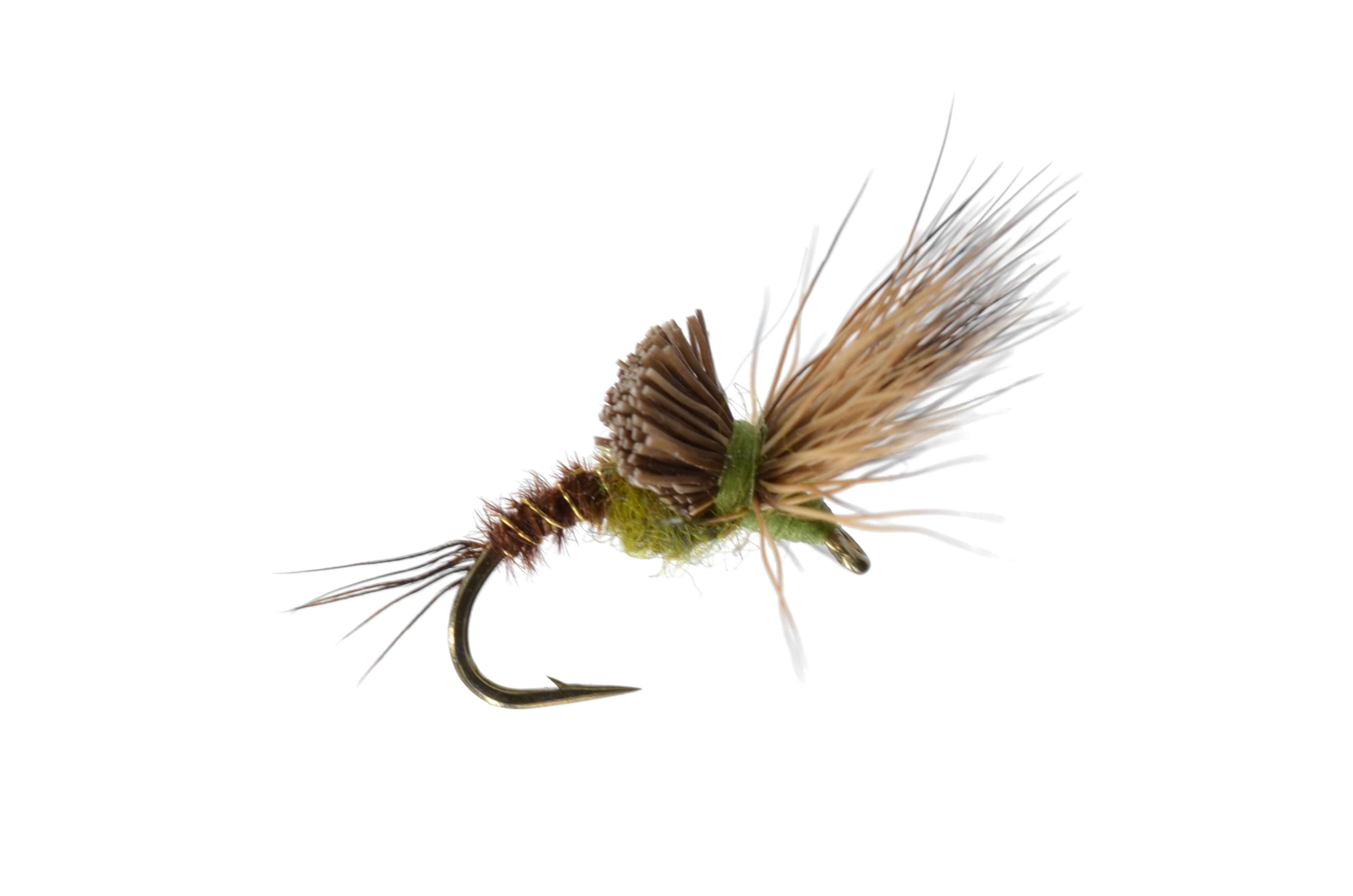 Morris May Emerger