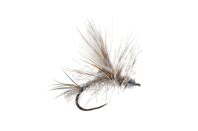 Mason's Fully Loaded Drake