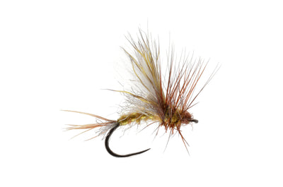 Mason's Fully Loaded Drake