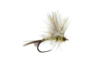 Mason's Fully Loaded Drake