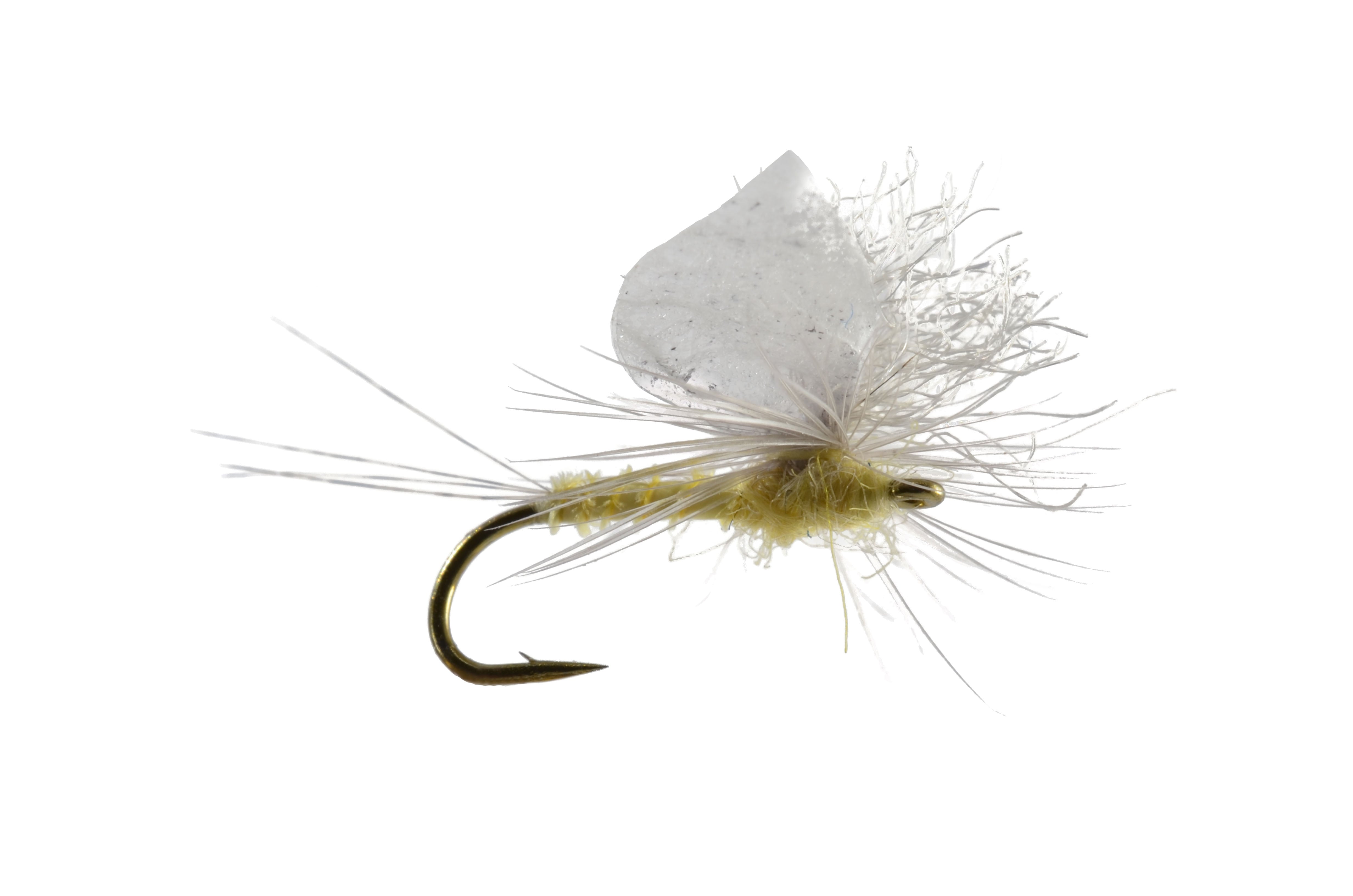 Staton's Para Spinner