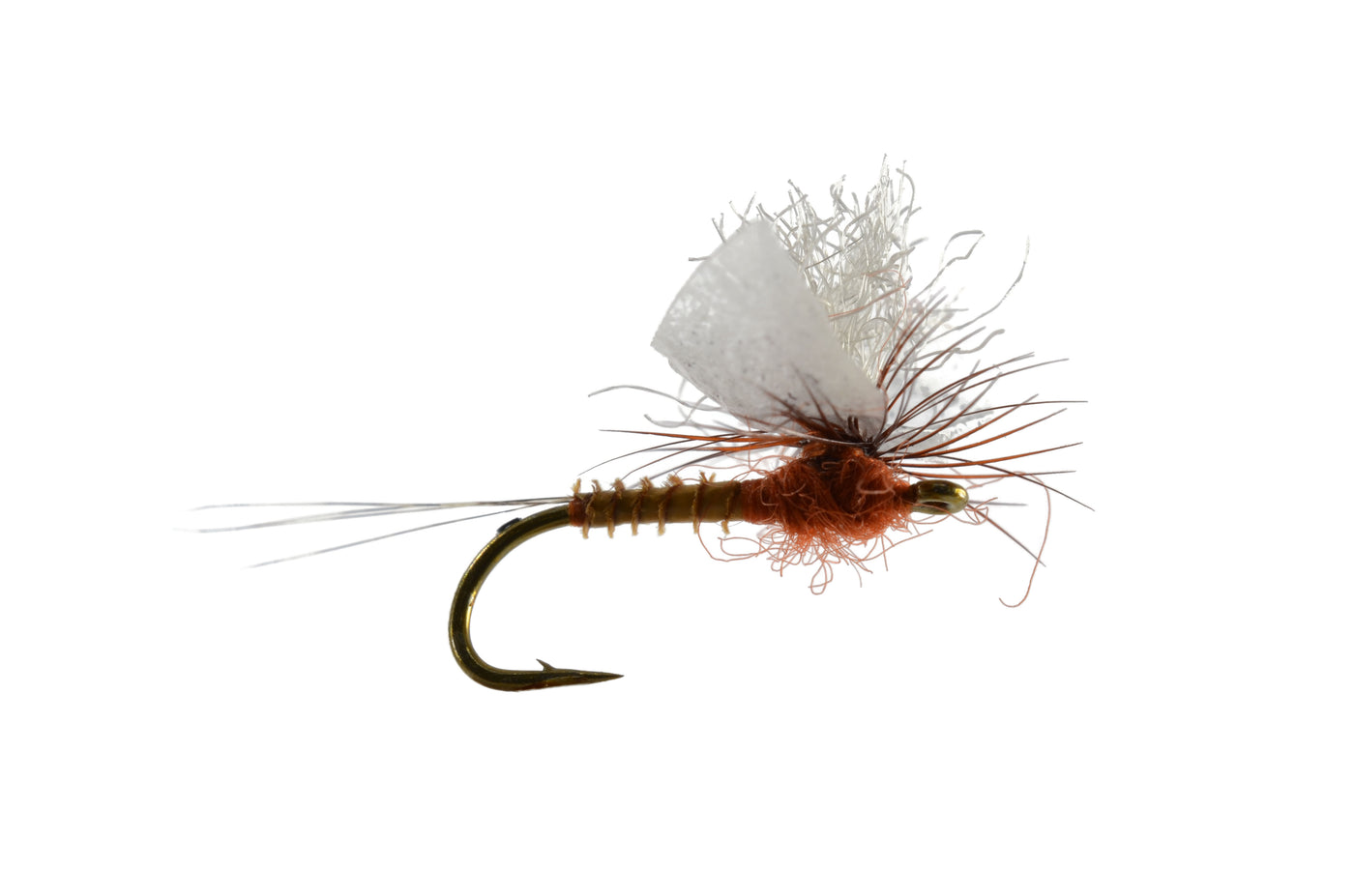 Staton's Para Spinner