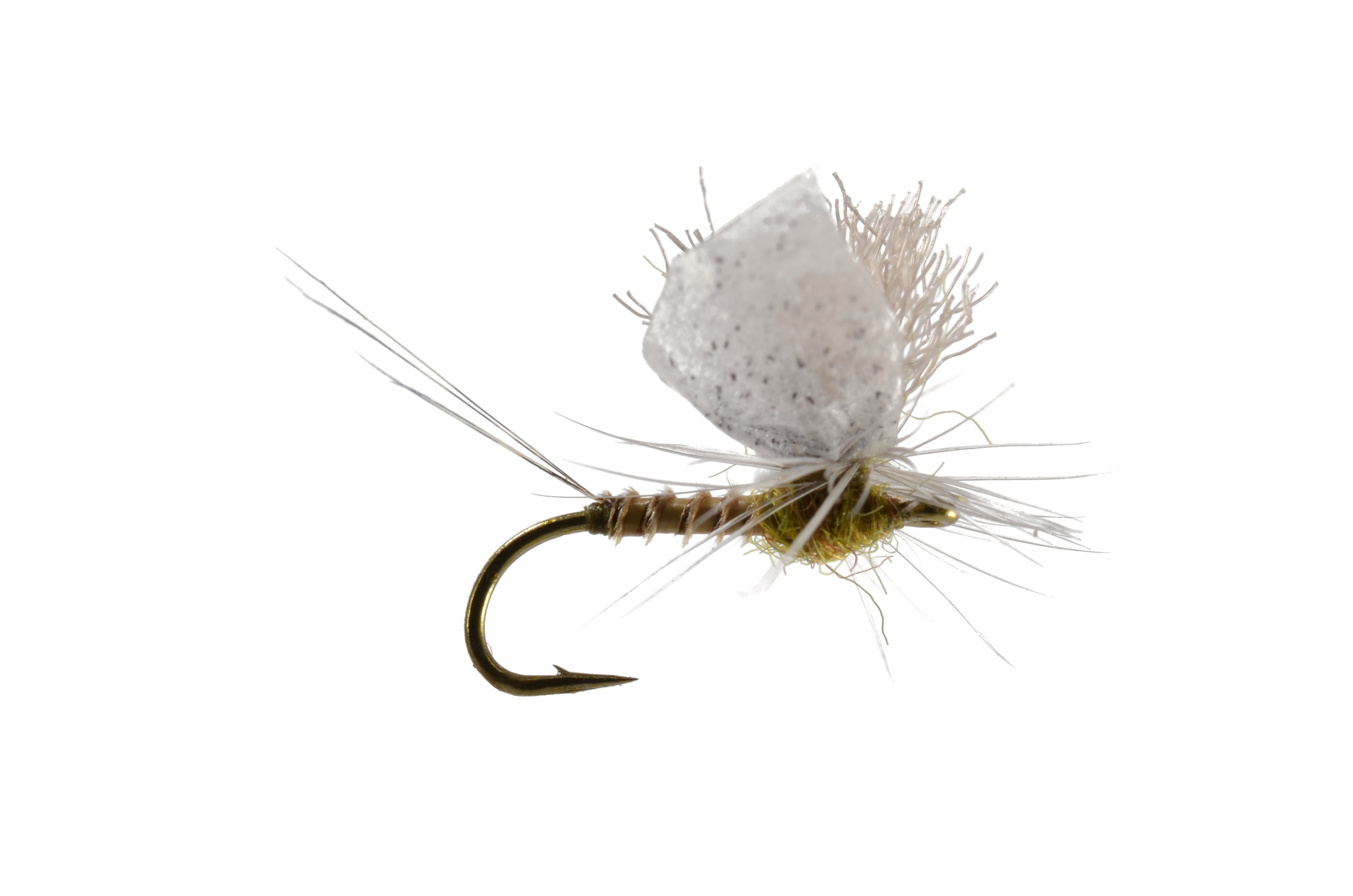 Staton's Para Spinner