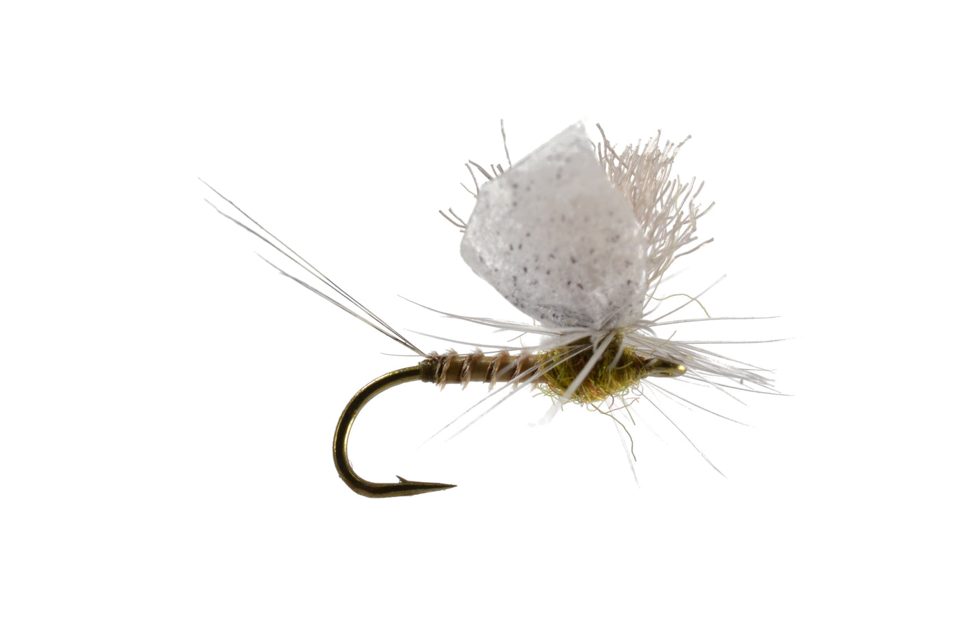 Staton's Para Spinner