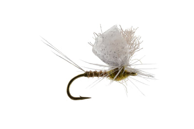 Staton's Para Spinner