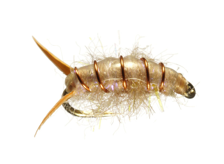 Sowbug