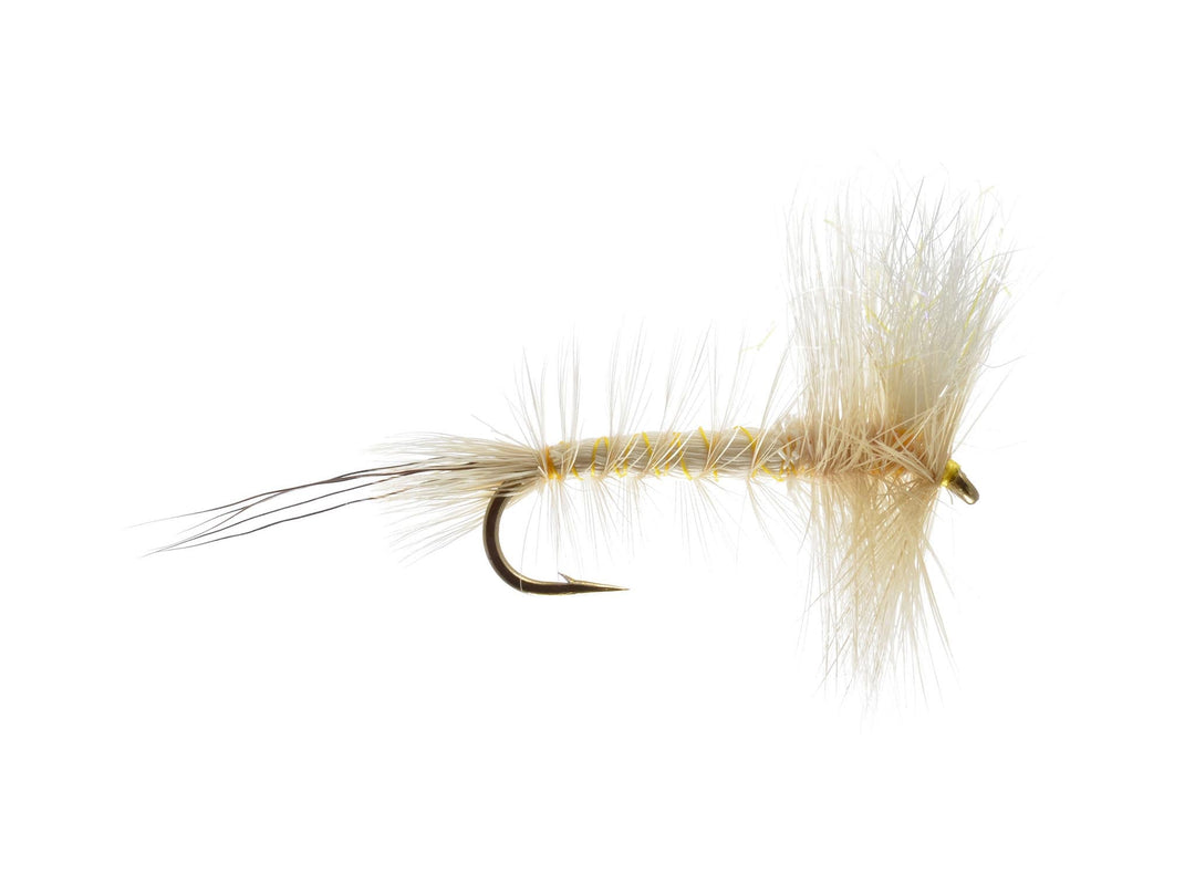 Sparkle Wing Hex Adult
