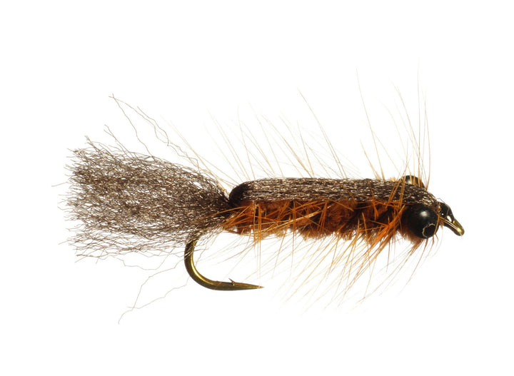 Antron Bug