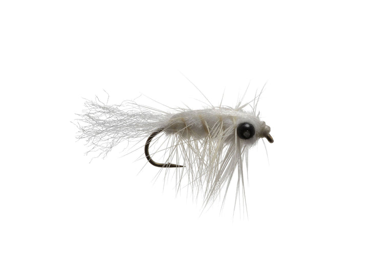 Antron Bug