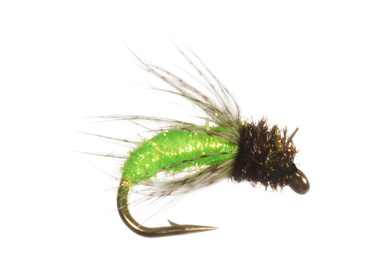 Ice Caddis