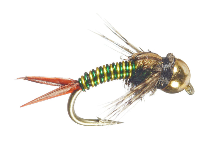 Zebra Copper