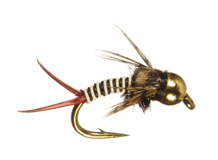 Zebra Copper