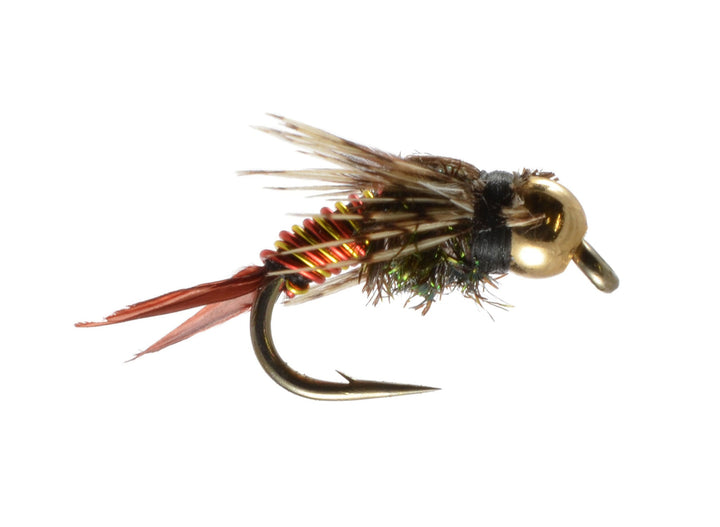 Zebra Copper