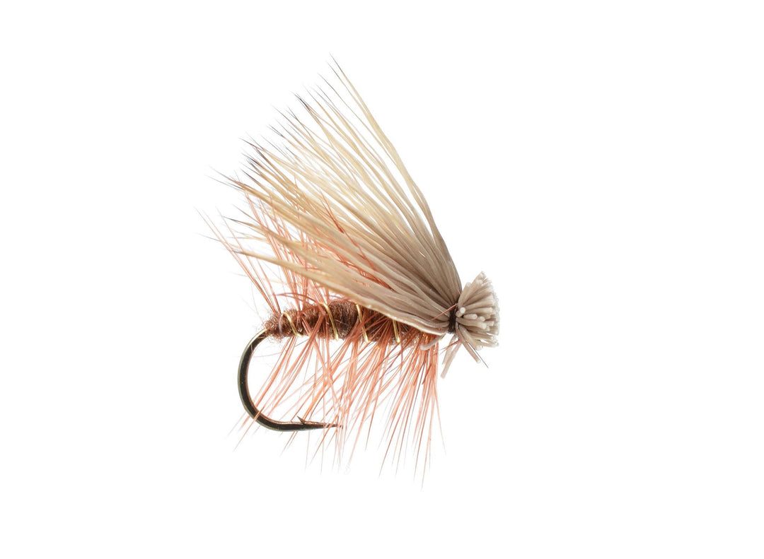 Elk Hair Caddis