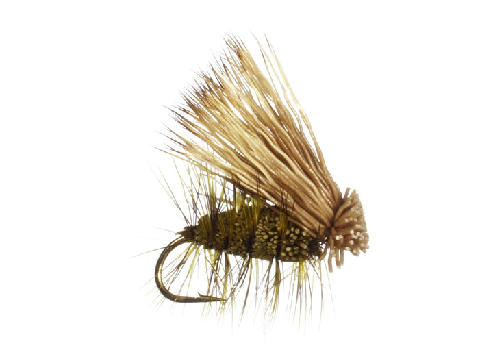 Irresistible Caddis