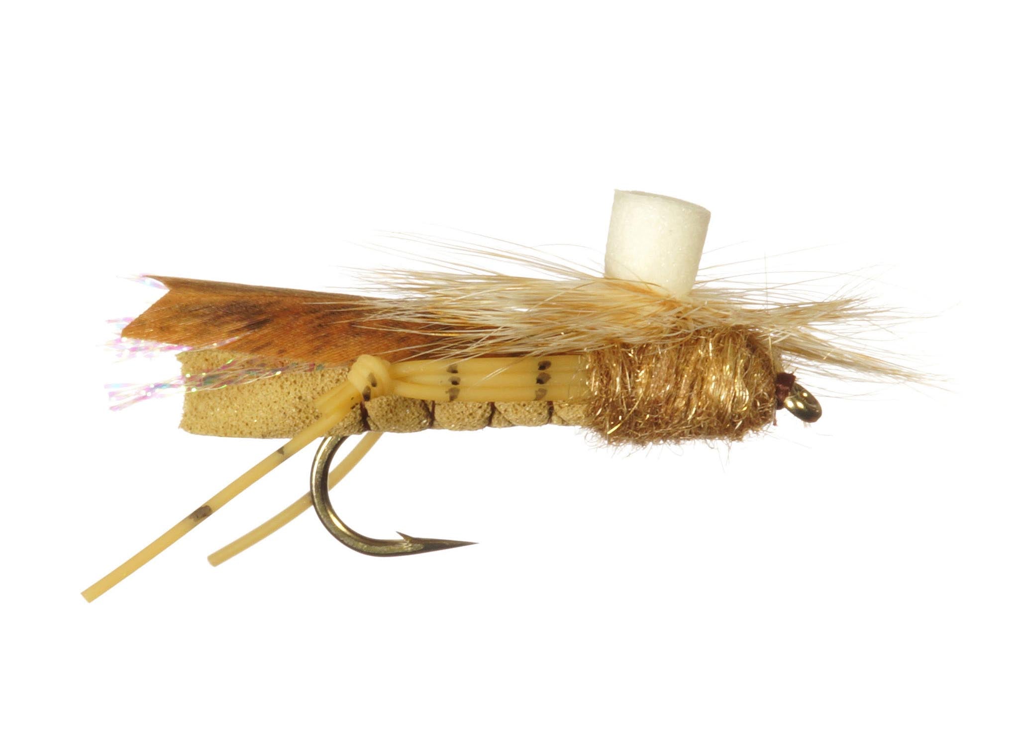Coléoptère Grand Hopper de Rainy's