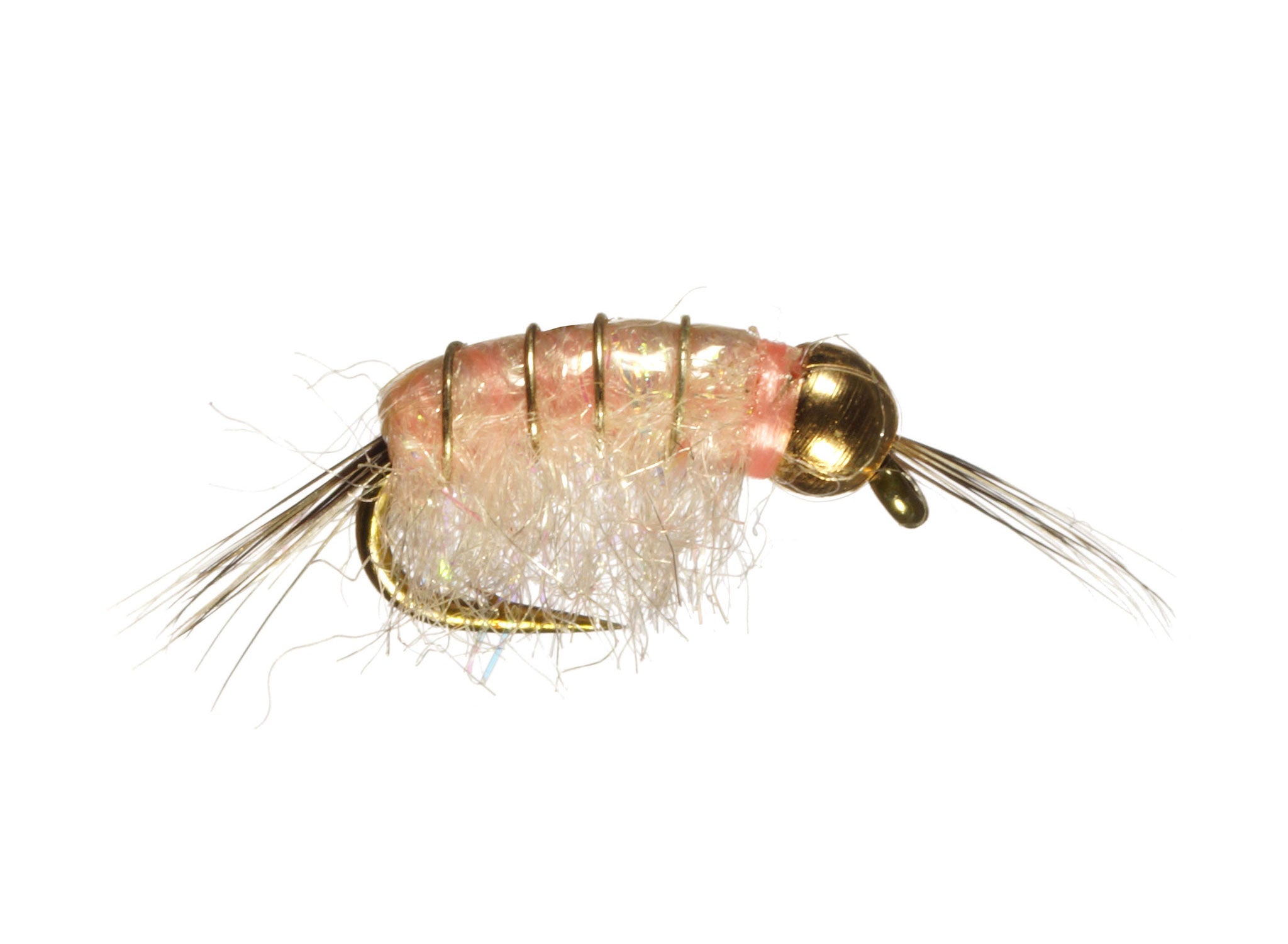Beaded Flashback Fly Pattern All Flies – rainysflies
