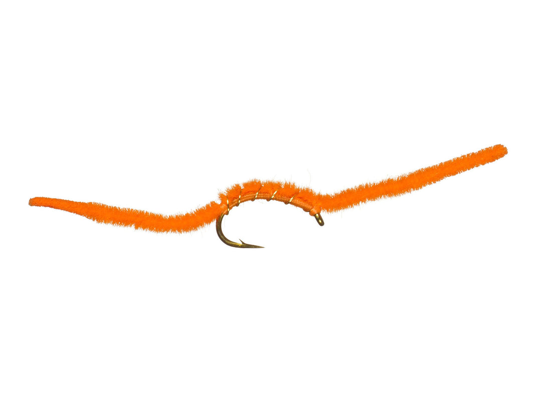 San Juan Worm